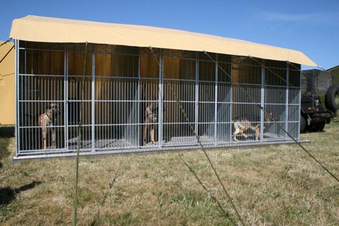 Dogs Kennels in Afghanistan